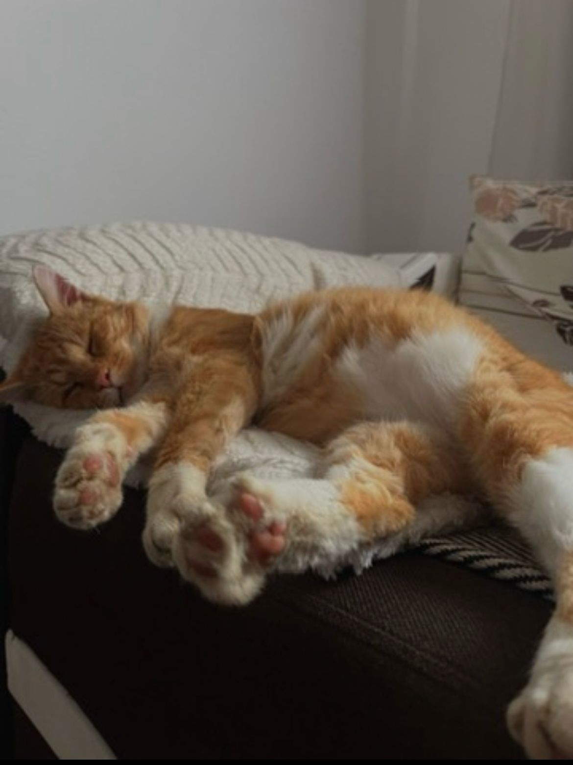 Imagine suplimentară